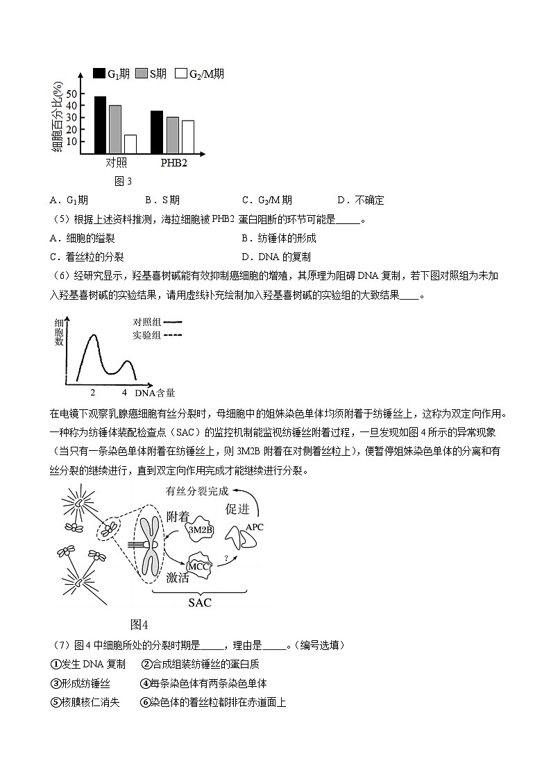【开学考】2024秋高二上册开学摸底考试卷生物（上海专用）02