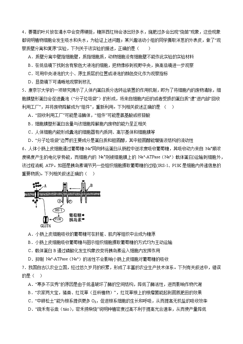 高二生物（山东专用）（原卷版）第2页