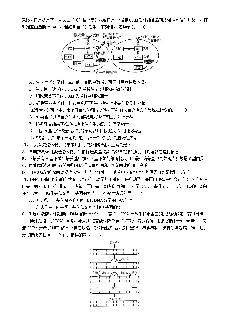 生物（新高考通用）01（考试版）第3页