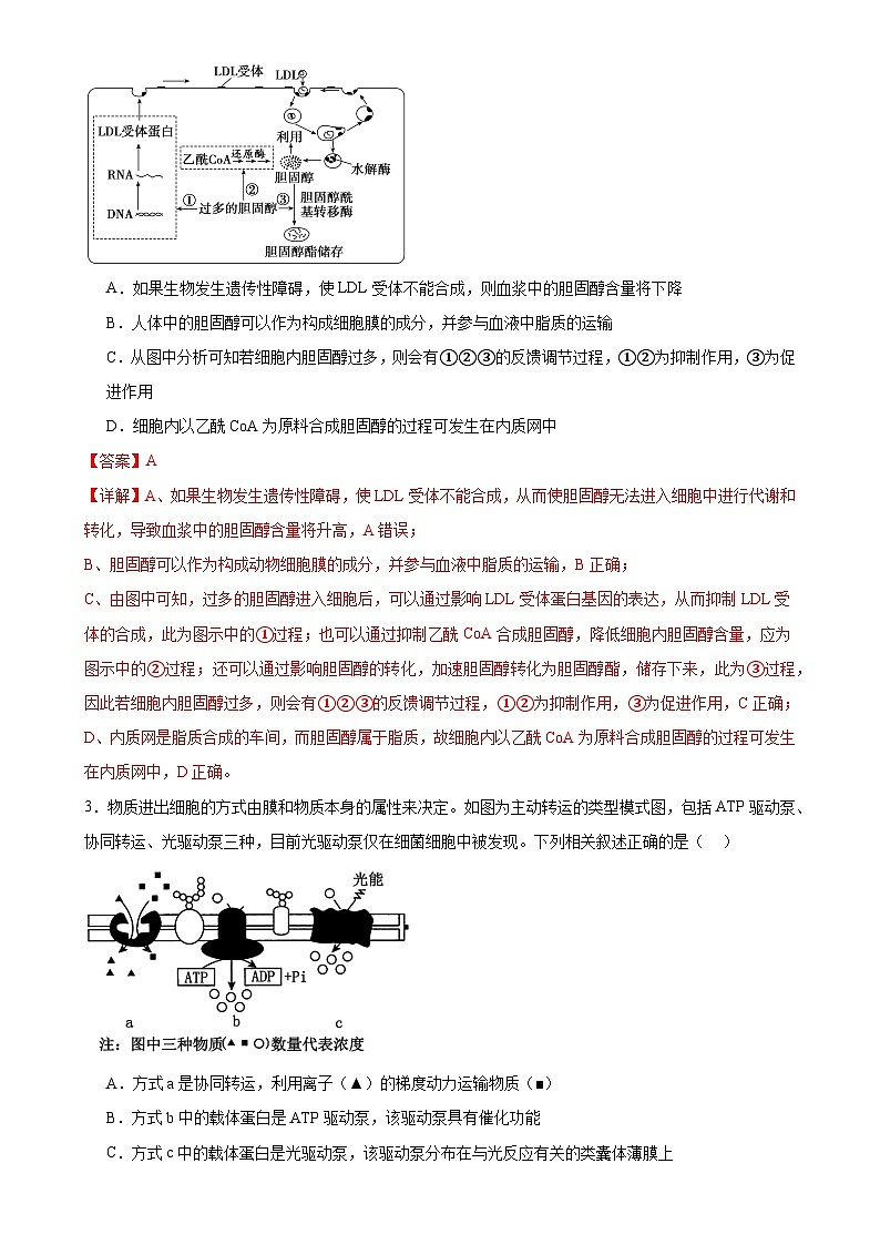 【开学考】2024秋高二上册开学摸底考试卷生物（新高考通用）0202
