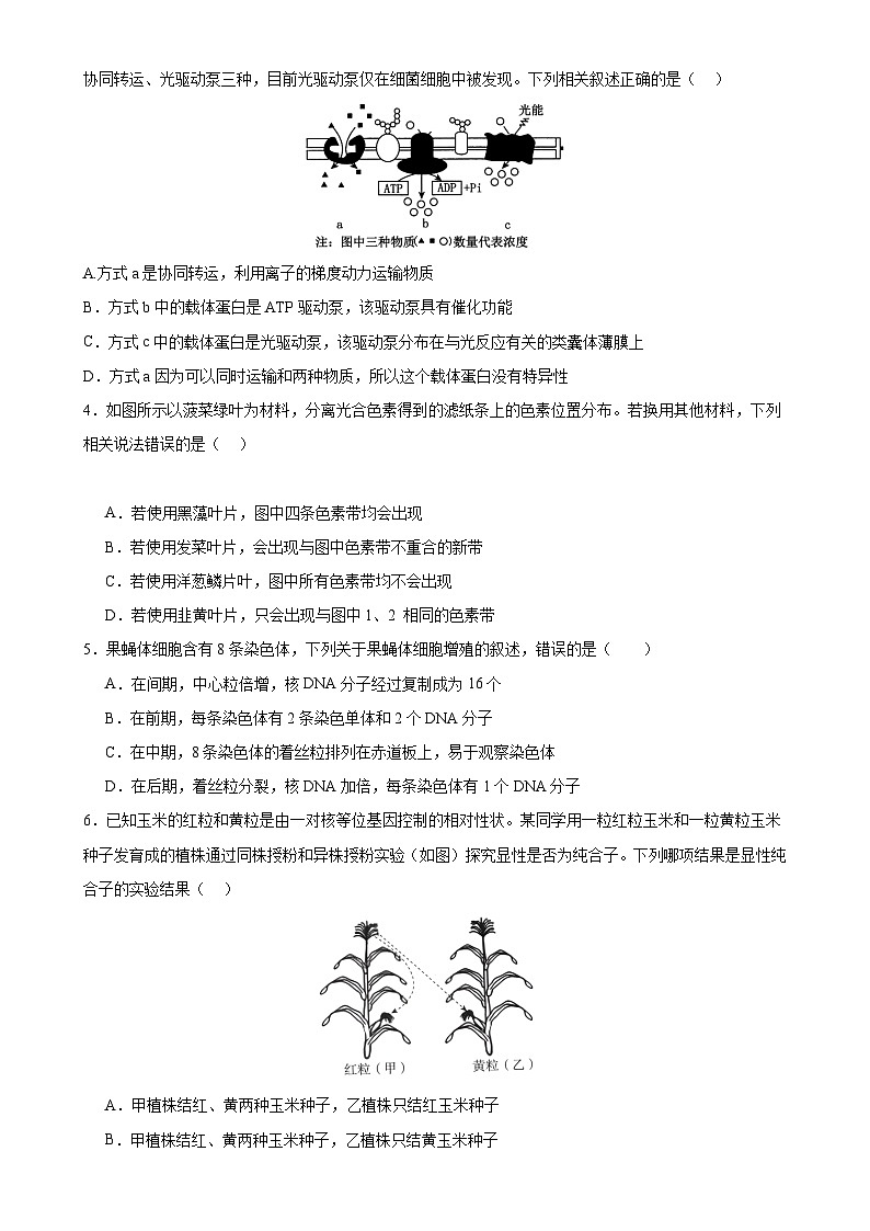 【开学考】2024秋高二上册开学摸底考试卷生物（新高考通用）0202