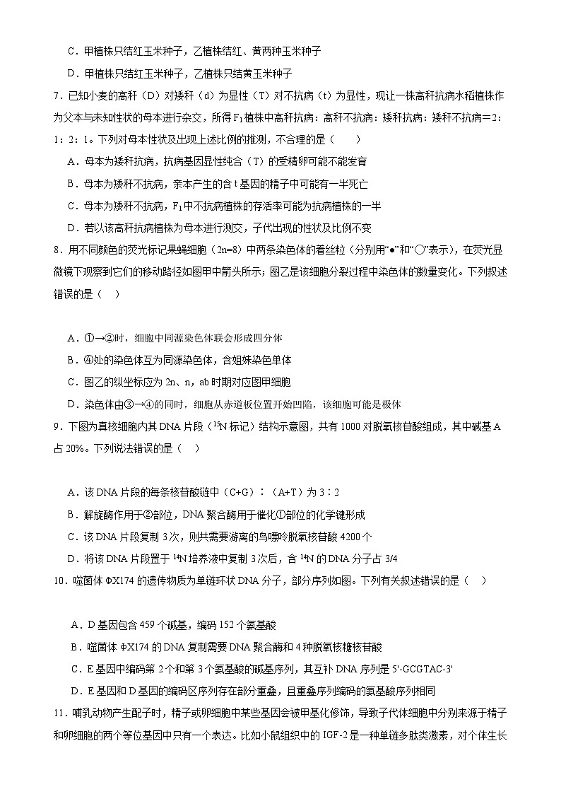 【开学考】2024秋高二上册开学摸底考试卷生物（新高考通用）0203