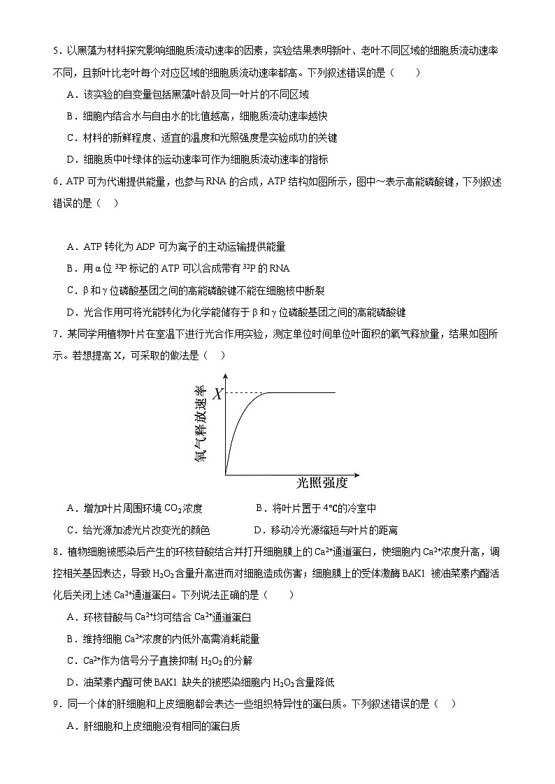 生物（新高考通用）03（考试版）第2页