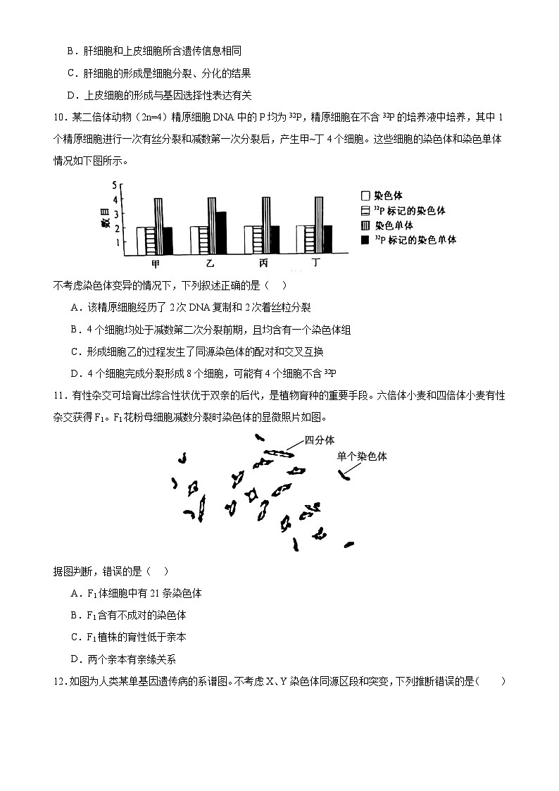 生物（新高考通用）03（考试版）第3页