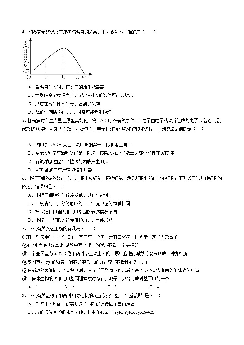 高二生物（江苏专用）（考试版） 第2页