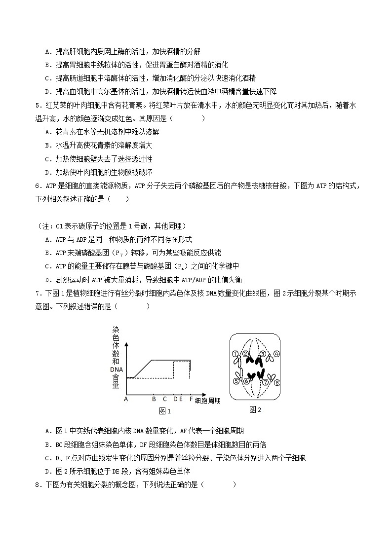 生物（湖北专用）（考试版）第2页