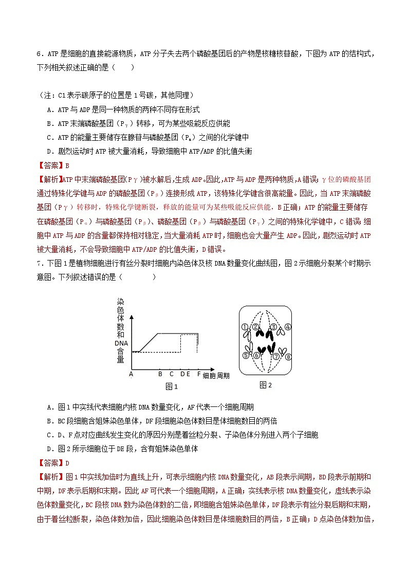 生物（湖北专用）（解析版）第3页