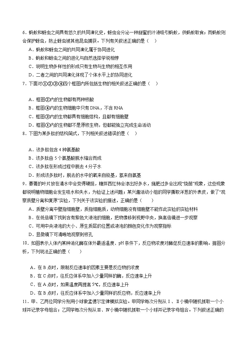 【开学考】2024秋高二上册开学摸底考试卷生物（黑吉辽通用）02