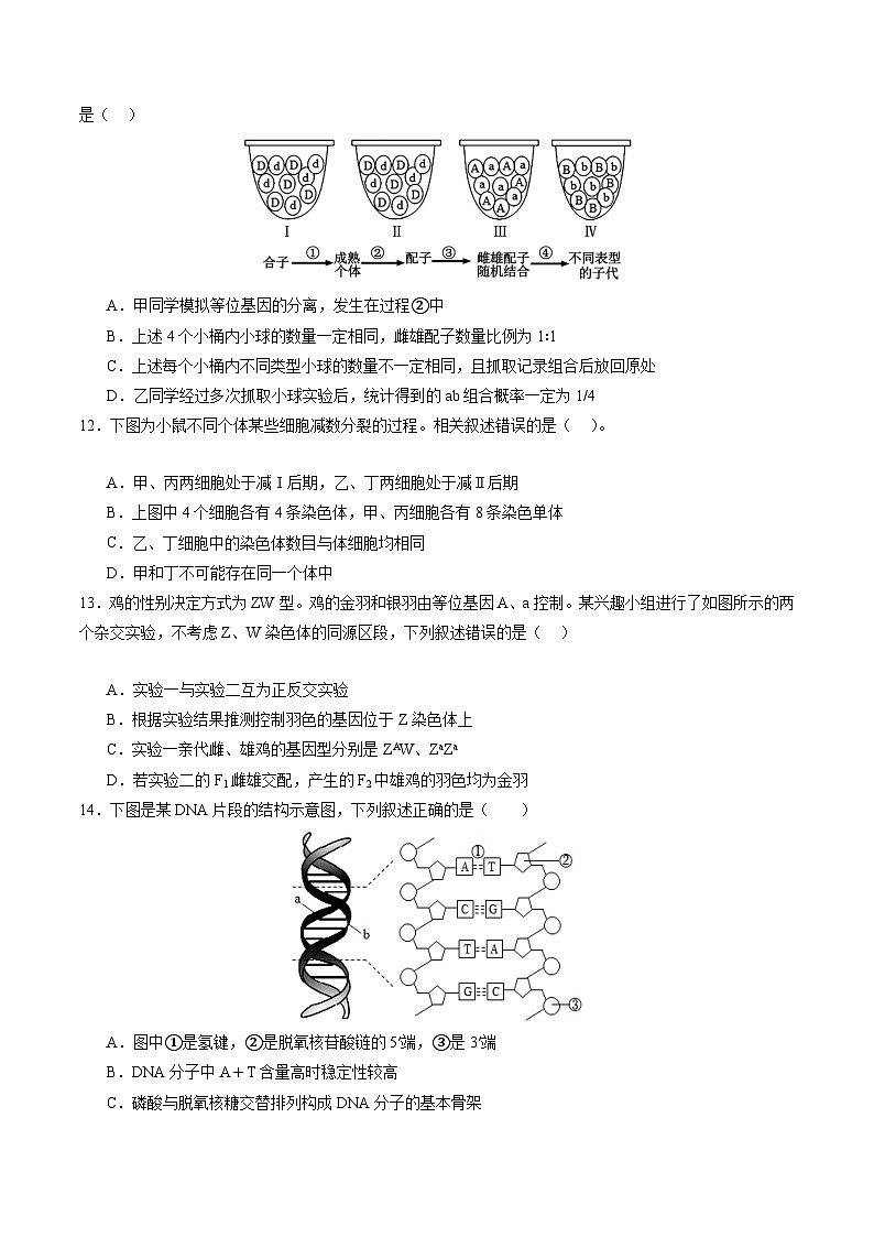 【开学考】2024秋高二上册开学摸底考试卷生物（黑吉辽通用）03
