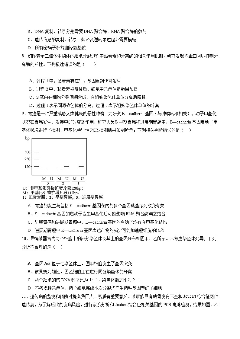 【开学考】2024秋高二上册开学摸底考试卷高二上册开学摸底考试卷生物（广东专用）03