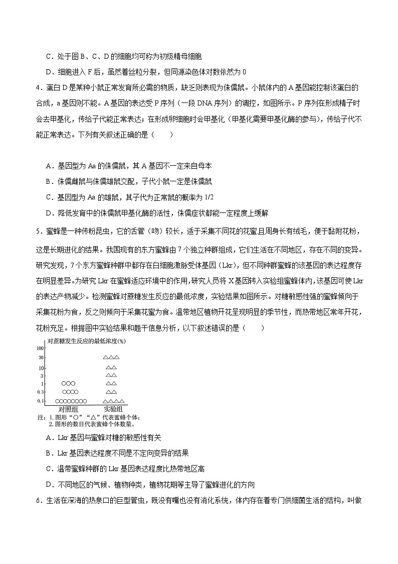 【开学考】新高三上册开学摸底考试卷生物+（天津专用）02
