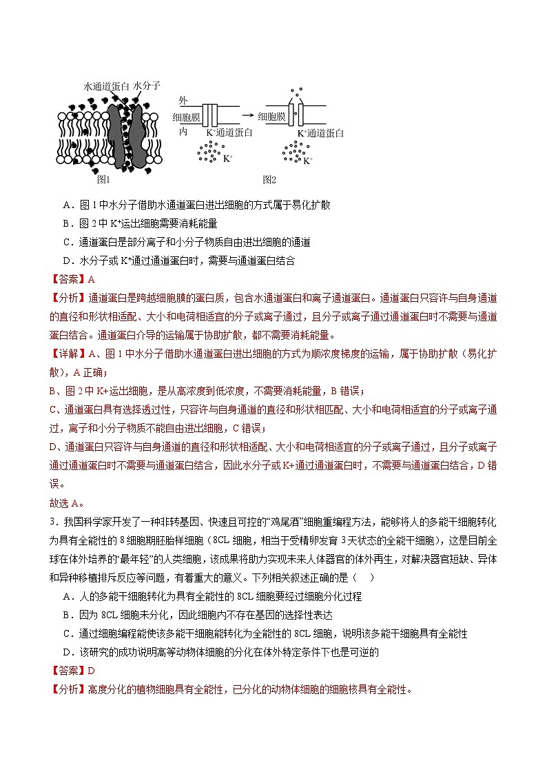 【开学考】新高三上册开学摸底考试卷生物+（广东专用）02