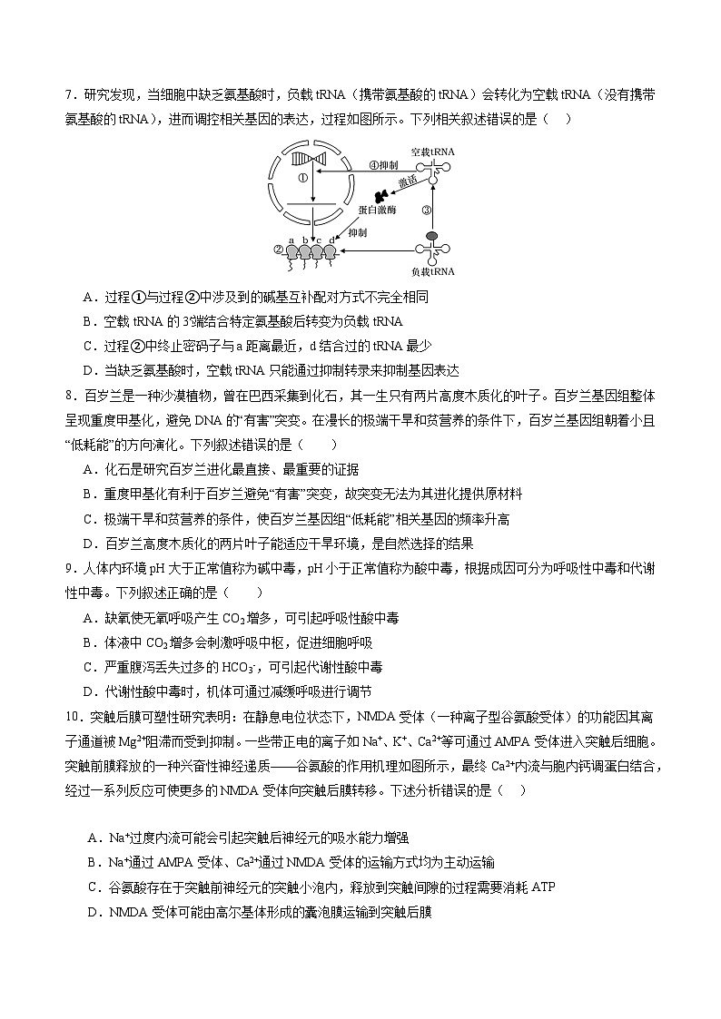【开学考】新高三上册开学摸底考试卷生物+（新高考通用，含不定项）0203