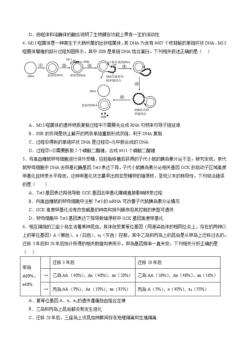 【开学考】新高三上册开学摸底考试卷生物+（江苏专用）02