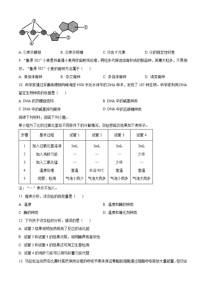 浙江省杭州市“桐浦富兴”教研联盟2023-2024学年高一下学期6月学考模拟考试生物试卷（Word版附解析）第2页
