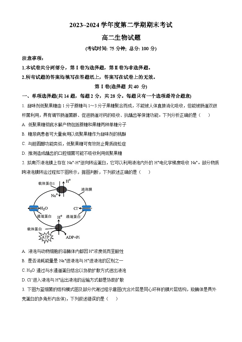 江苏省泰州市2023-2024学年高二下学期6月期末考试生物试卷（Word版附解析）01