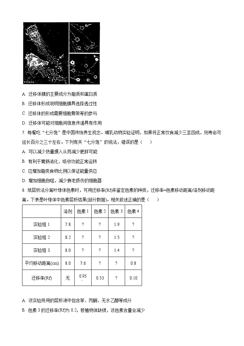 江苏省泰州市2023-2024学年高二下学期6月期末考试生物试卷（Word版附解析）03