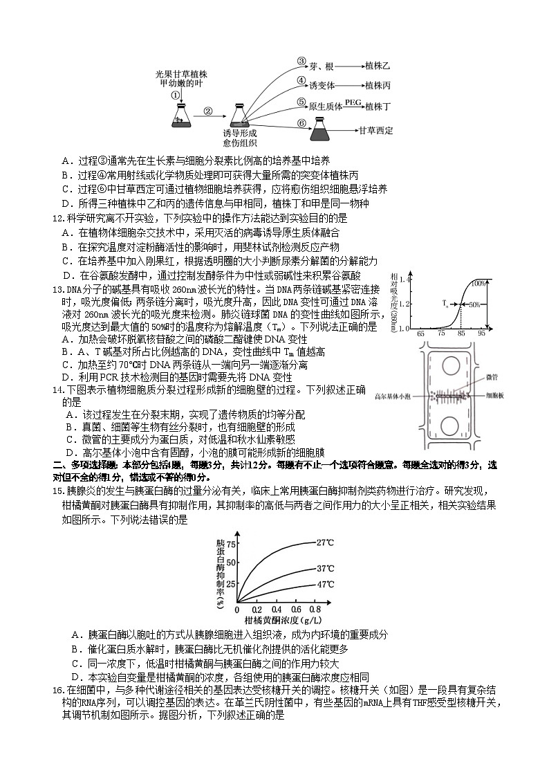 江苏省宿迁市2024届高三下学期三模生物试卷（Word版附答案）03