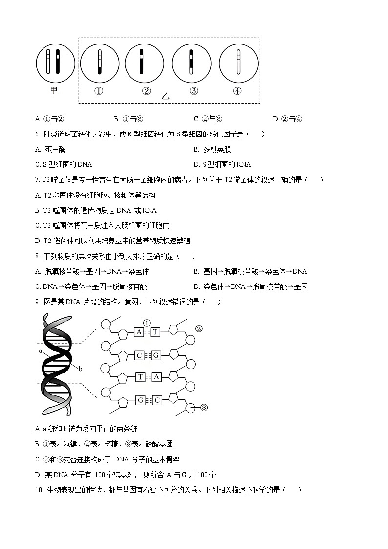 河北省唐山市2023-2024学年高一下学期7月期末考试生物试卷（Word版附解析）02