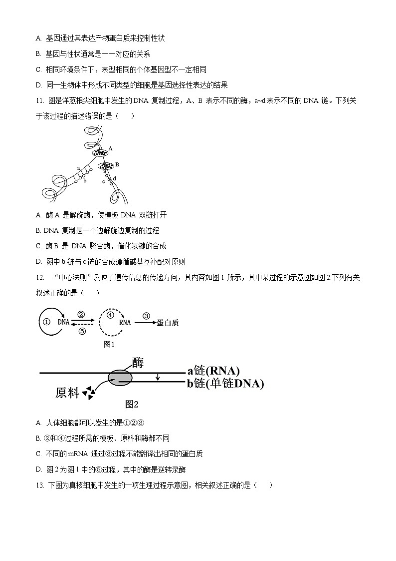 河北省唐山市2023-2024学年高一下学期7月期末考试生物试卷（Word版附解析）03