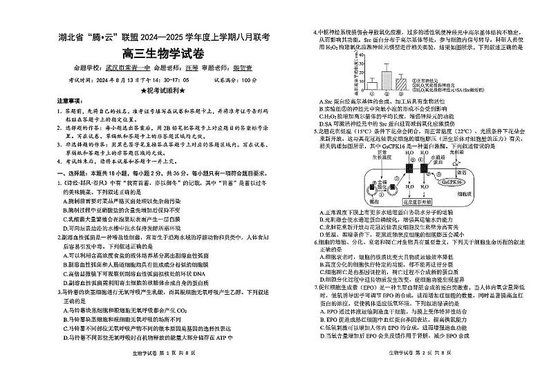 湖北省腾云联盟2024-2025学年高三上学期8月联考生物试卷（PDF版附答案）第1页