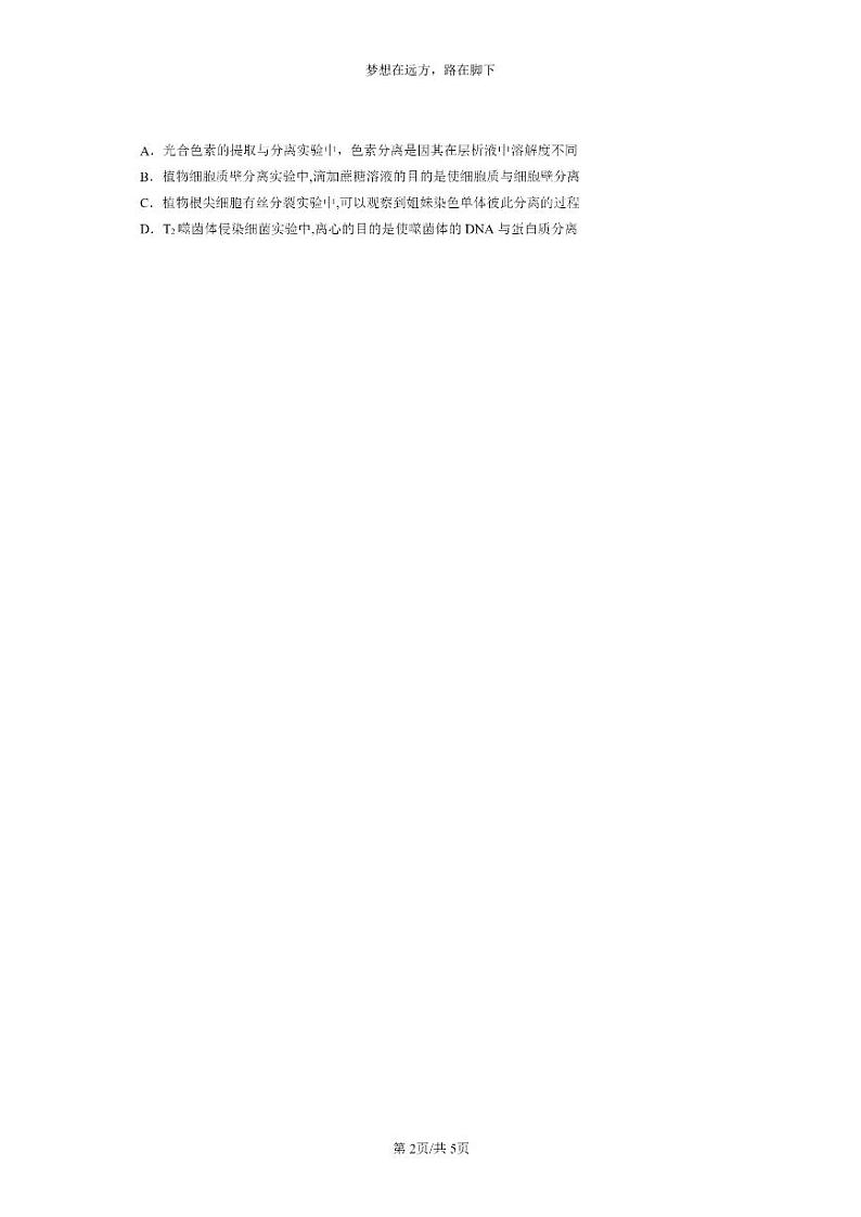 [生物]2022～2024北京高三上学期期末生物真题分类汇编：基因的本质章节综合第2页