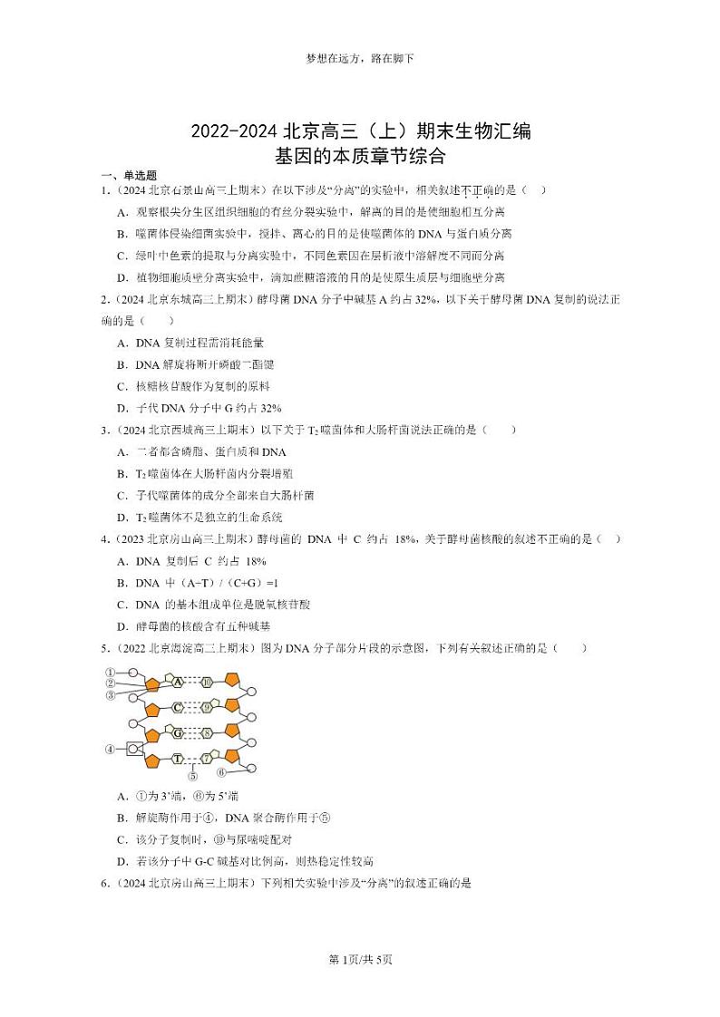 [生物]2022～2024北京高三上学期期末生物真题分类汇编：基因的本质章节综合第1页