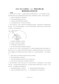 [生物]2022～2024北京高三上学期期末生物真题分类汇编：基因的表达与性状关系