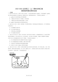 [生物]2022～2024北京高三上学期期末生物真题分类汇编：基因指导蛋白质的合成