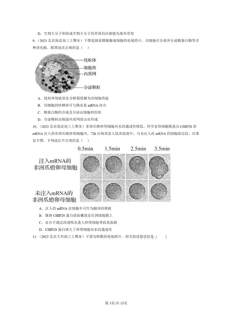 [生物]2022～2024北京高三上学期期末生物真题分类汇编：基因指导蛋白质的合成03