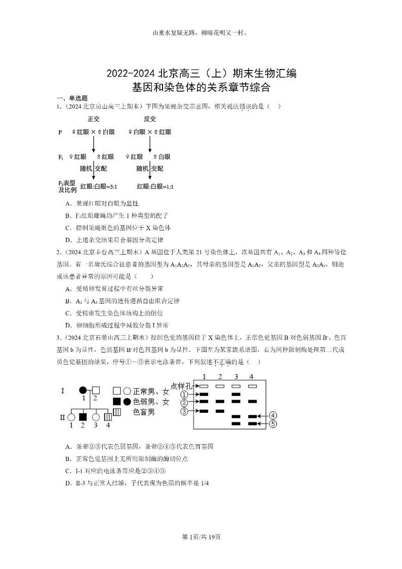 [生物]2022～2024北京高三上学期期末生物真题分类汇编：基因和染色体的关系章节综合第1页
