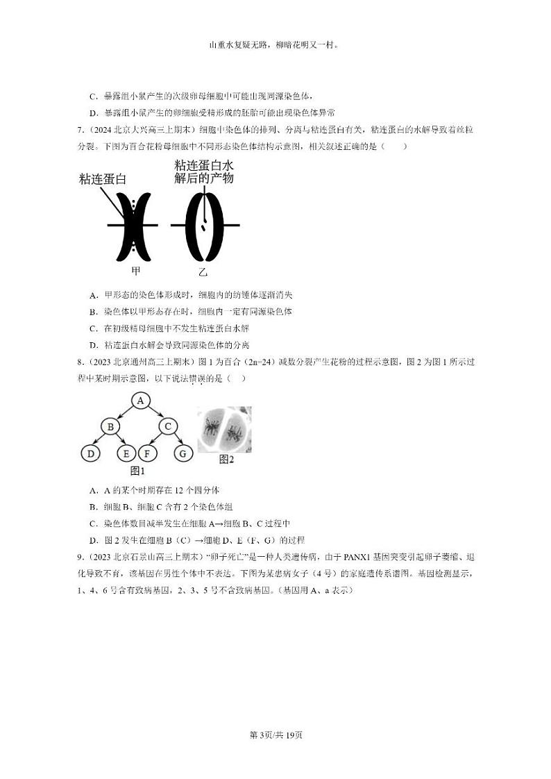 [生物]2022～2024北京高三上学期期末生物真题分类汇编：基因和染色体的关系章节综合第3页
