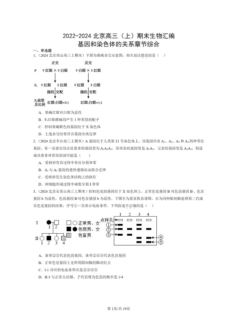[生物]2022～2024北京高三上学期期末生物真题分类汇编：基因和染色体的关系章节综合第1页