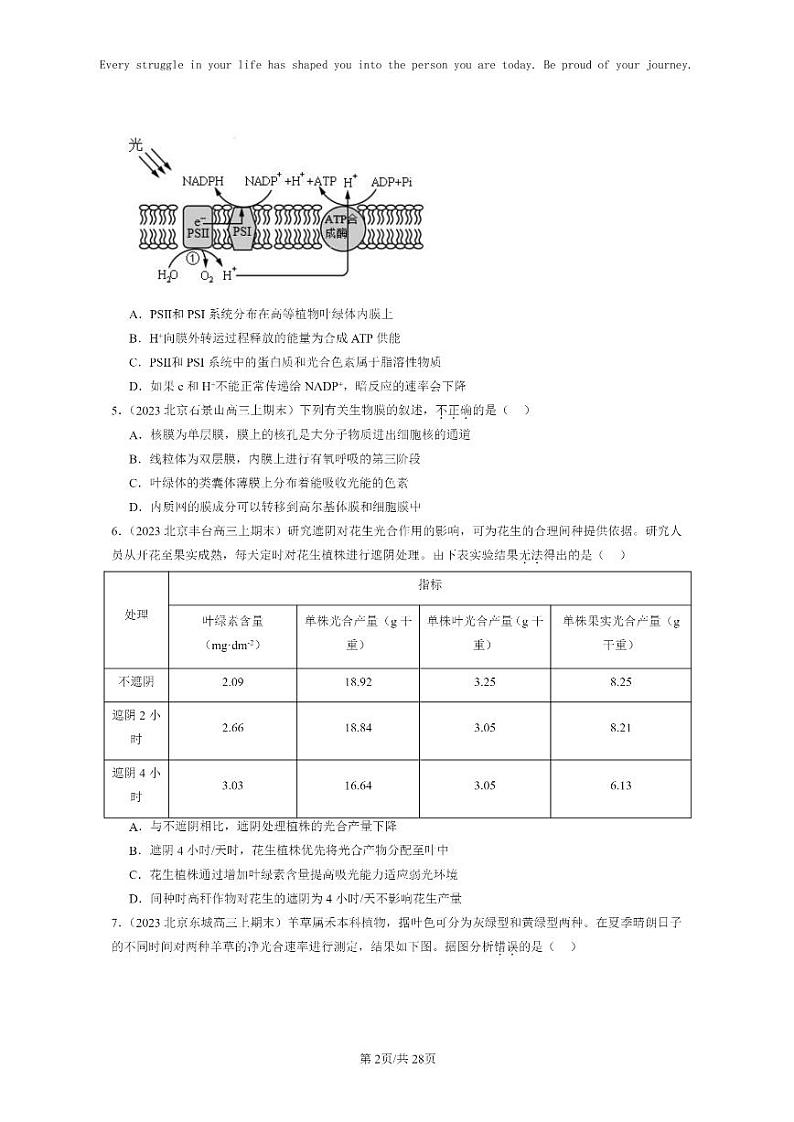 [生物]2022～2024北京高三上学期期末生物真题分类汇编：光合作用与能量转化02