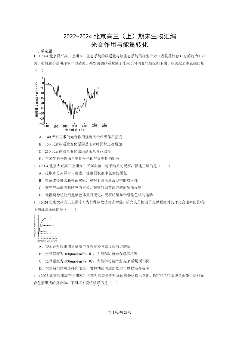 [生物]2022～2024北京高三上学期期末生物真题分类汇编：光合作用与能量转化01