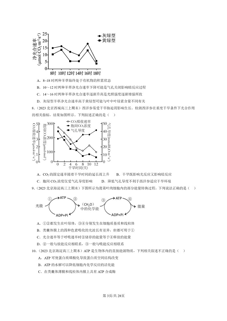 [生物]2022～2024北京高三上学期期末生物真题分类汇编：光合作用与能量转化03