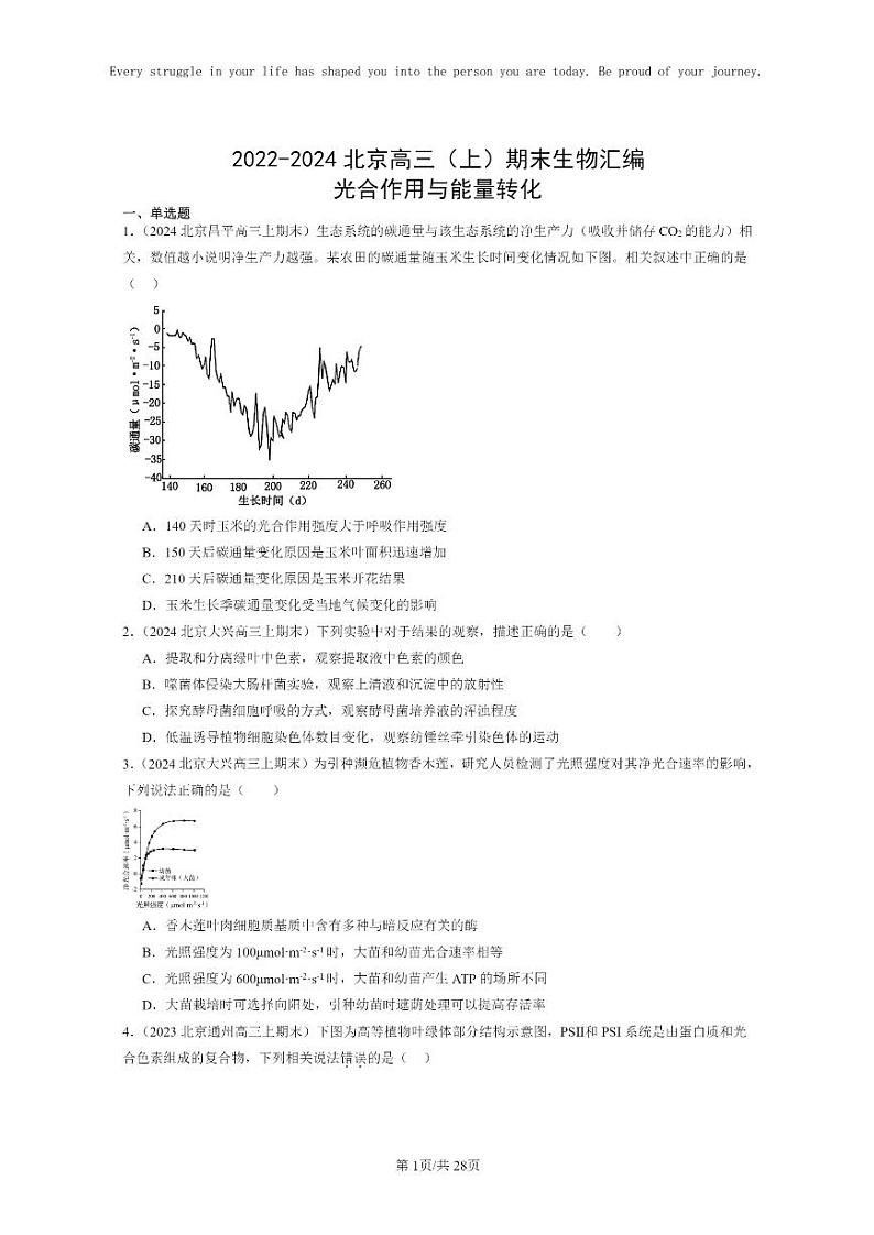 [生物]2022～2024北京高三上学期期末生物真题分类汇编：光合作用与能量转化01
