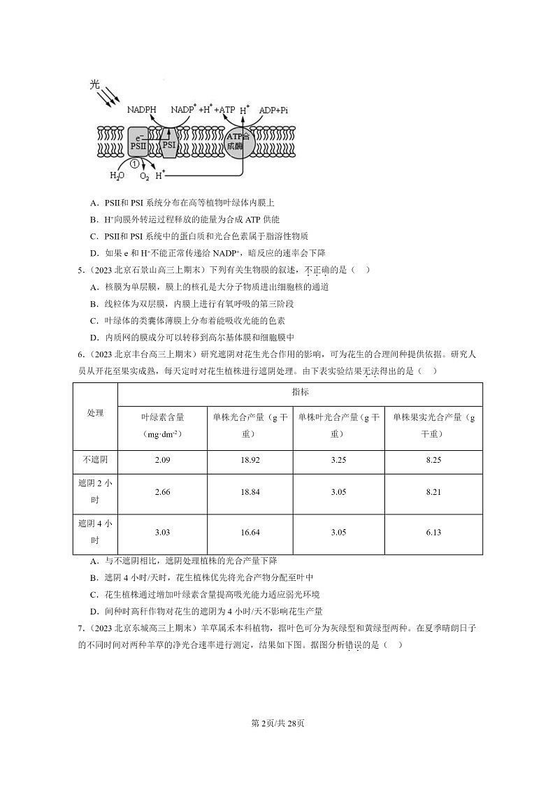 [生物]2022～2024北京高三上学期期末生物真题分类汇编：光合作用与能量转化02