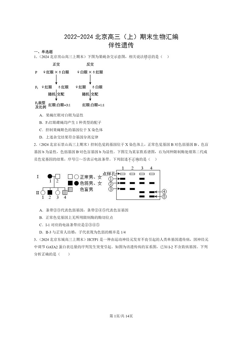 [生物]2022～2024北京高三上学期期末生物真题分类汇编：伴性遗传01