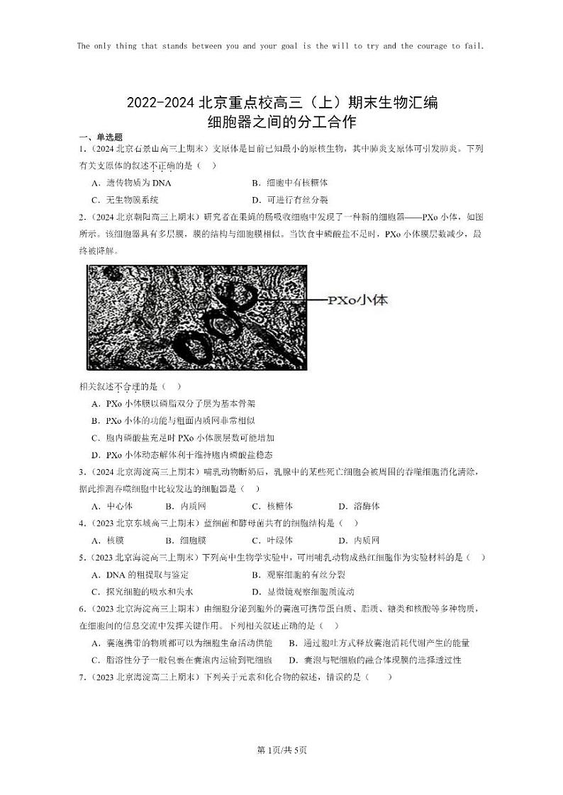 [生物]2022～2024北京重点校高三上学期期末生物真题分类汇编：细胞器之间的分工合作第1页