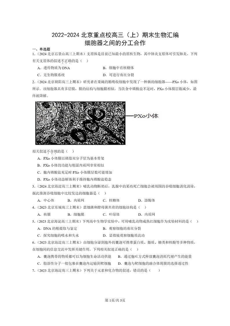 [生物]2022～2024北京重点校高三上学期期末生物真题分类汇编：细胞器之间的分工合作第1页