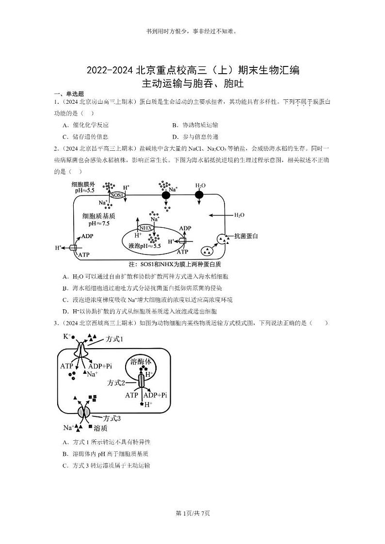 [生物]2022～2024北京重点校高三上学期期末生物真题分类汇编：主动运输与胞吞、胞吐01