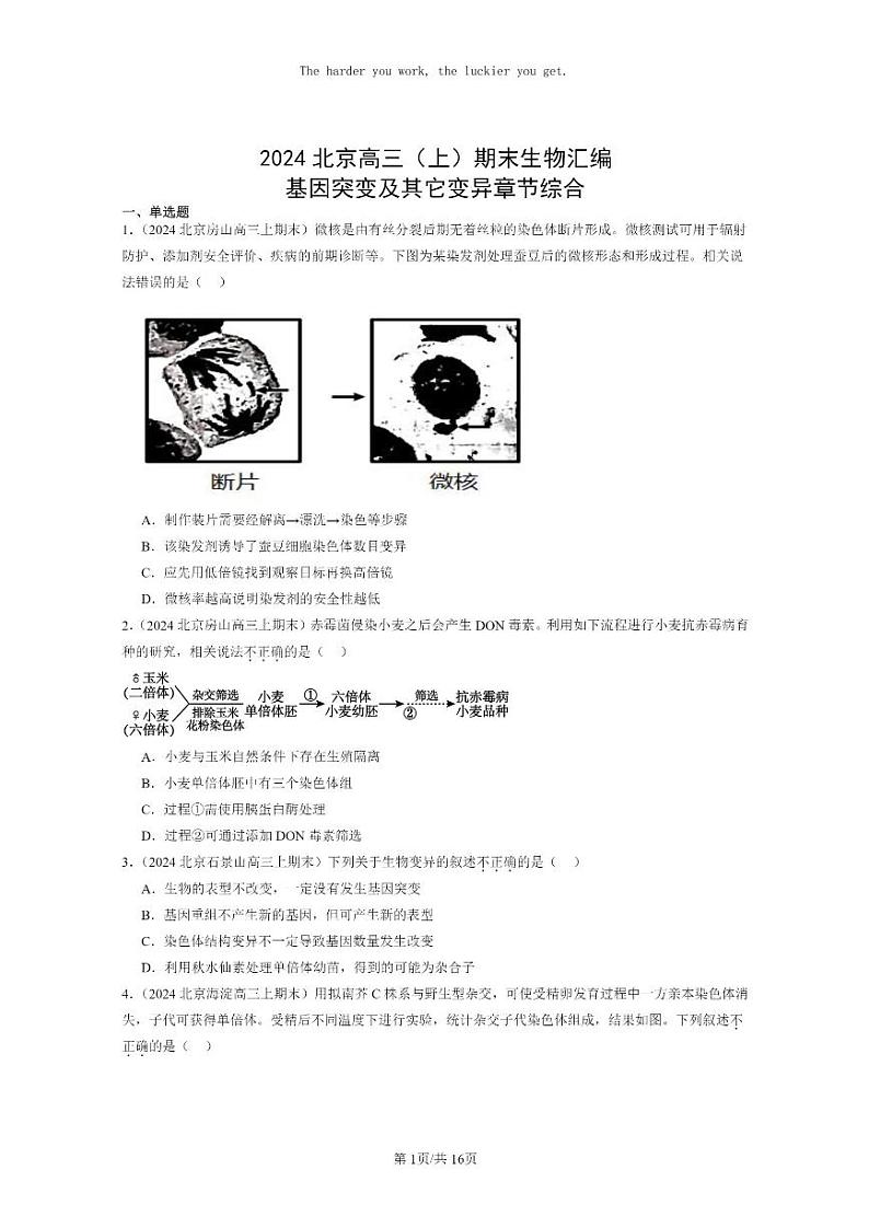 [生物]2024北京高三上学期期末生物真题分类汇编：基因突变及其它变异章节综合第1页
