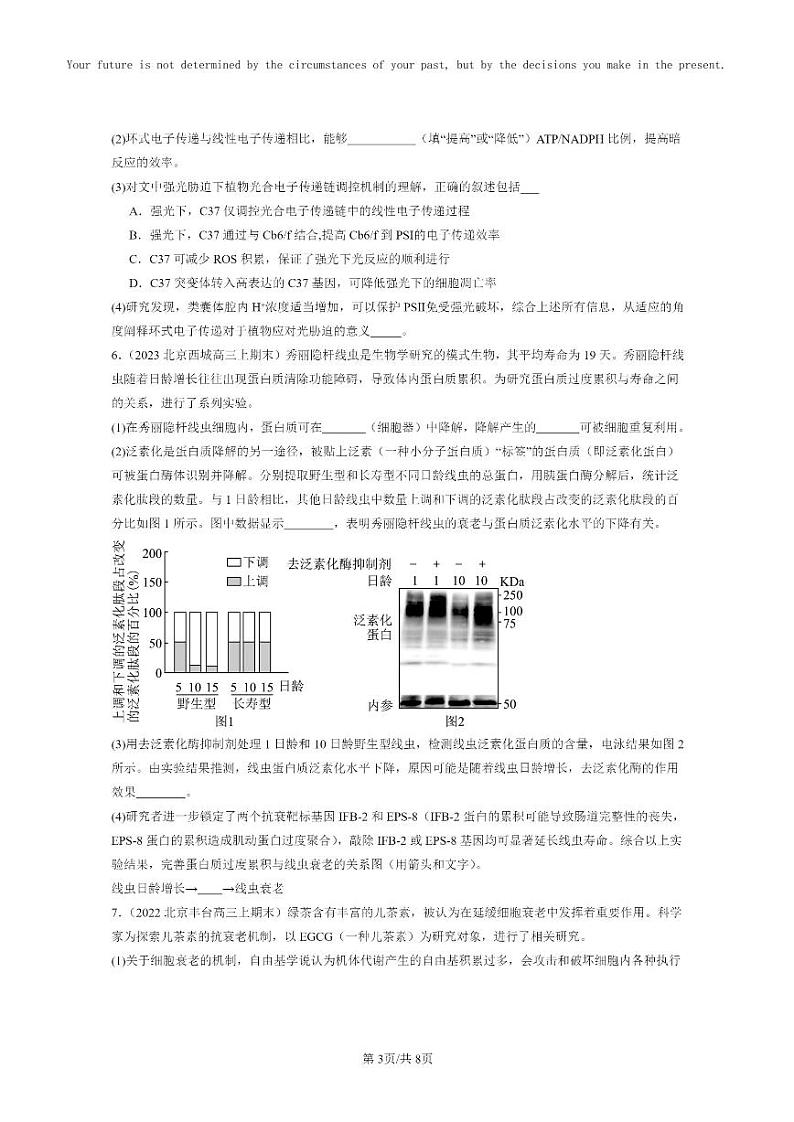 [生物]2022～2024北京高三上学期期末生物真题分类汇编：细胞的衰老和死亡03