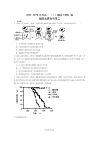 [生物]2022～2024北京高三上学期期末生物真题分类汇编：细胞的衰老和死亡