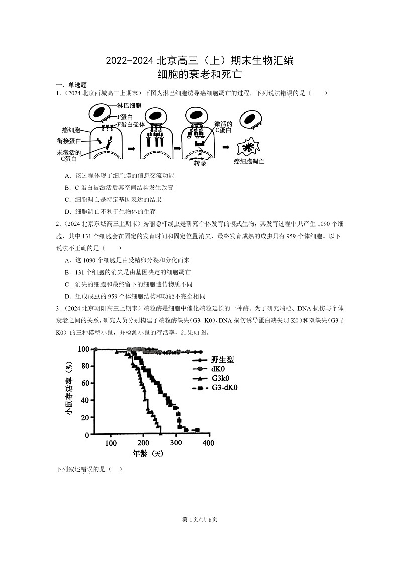[生物]2022～2024北京高三上学期期末生物真题分类汇编：细胞的衰老和死亡01