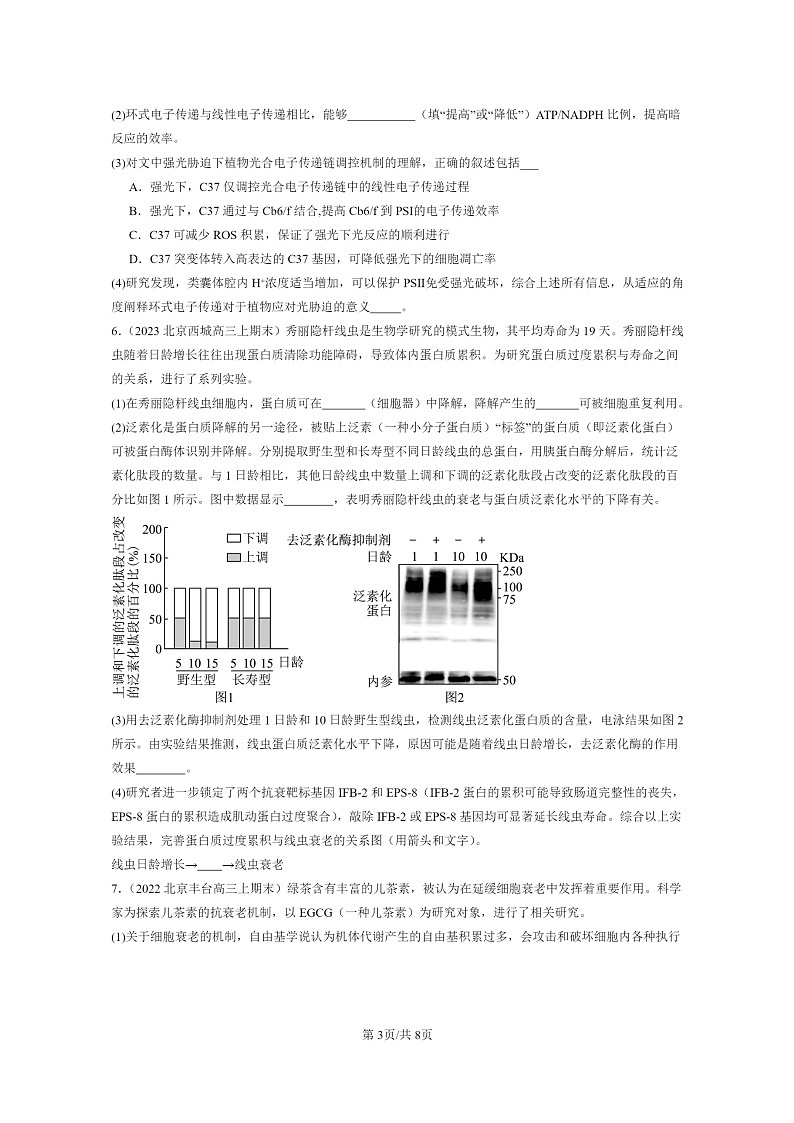 [生物]2022～2024北京高三上学期期末生物真题分类汇编：细胞的衰老和死亡03