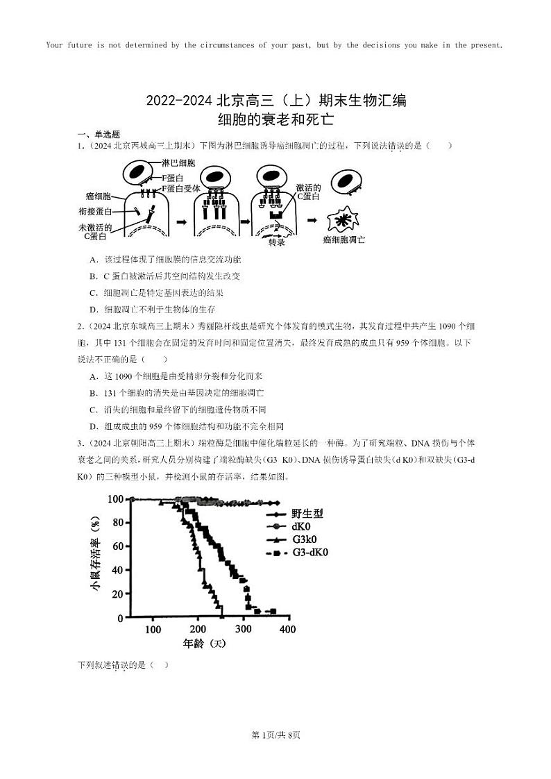 [生物]2022～2024北京高三上学期期末生物真题分类汇编：细胞的衰老和死亡01