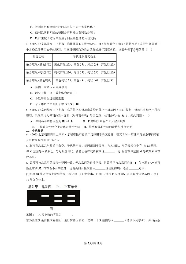 [生物]2022～2024北京高三上学期期末生物真题分类汇编：遗传因子的发展章节综合02