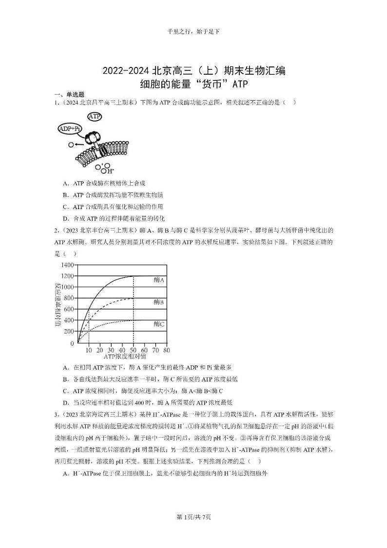 [生物]2022～2024北京高三上学期期末生物真题分类汇编：细胞的能量“货币”ATP01